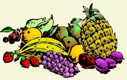 Harvest fruit image